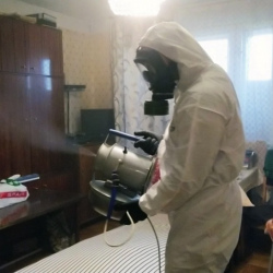 Дезинфекция от клопов в Харабали